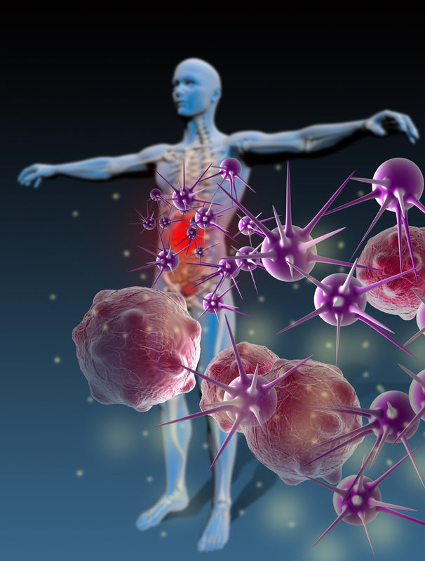 Renforcer son Immunité Naturellement : Les Compléments Essentiels pour votre immunité