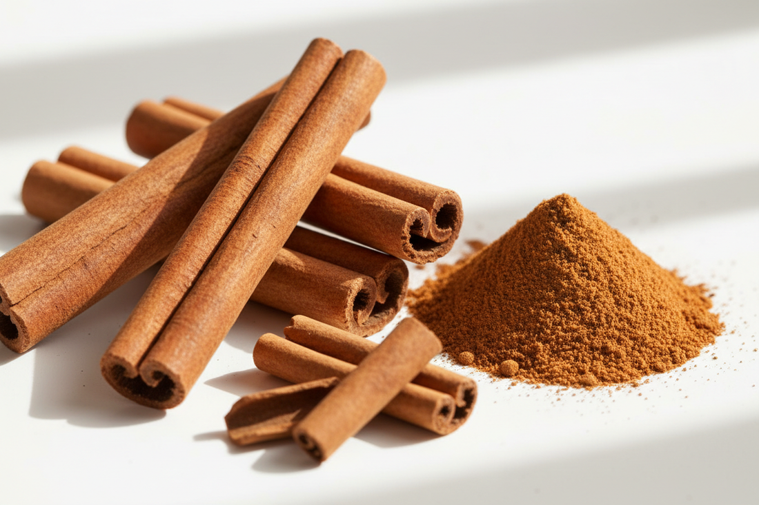 Cannelle (Cinnamomum verum) – Bienfaits, Propriétés Antimicrobiennes & Soutien Immunitaire | Complément Alimentaire