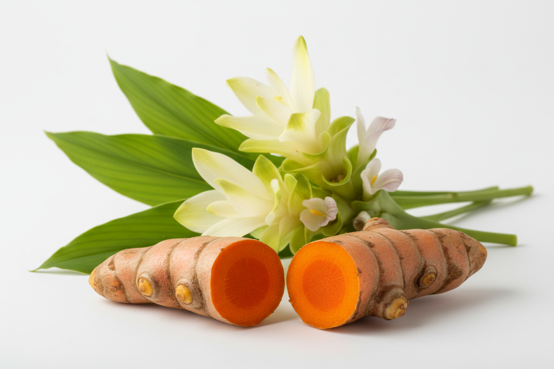 Curcuma (Curcuma longa) – Bienfaits, Curcumine & Soutien Circulatoire | Complément Alimentaire
