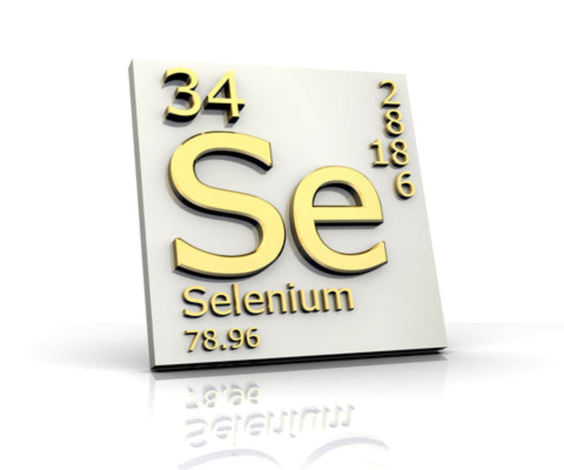 Sélénium + Vitamine E – Double Antioxydant pour l’Immunité, la Protection Cellulaire, les Cheveux & les Ongles
